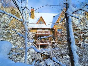 Tremblant Prestige - Plateau 228-3 v zimě + 20 fotografií