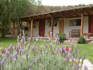 a garden with purple flowers in front of a house at CABAÑAS AGUA DEL MEDIO in Las Heras