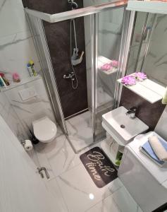 y baño con ducha, aseo y lavamanos. en Studio Emilija A30 A42 en Veliko Gradište