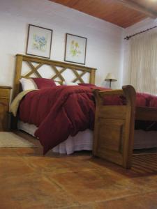 a bedroom with a large bed with a wooden frame at CABAÑAS AGUA DEL MEDIO in Las Heras