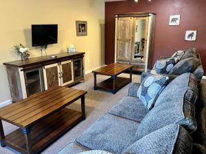 5 Star Denali Park Spacious Family Home في هيلي: غرفة معيشة مع أريكة وتلفزيون