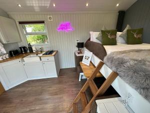 a small room with a bed and a kitchen at The Stag's Head - Shepherds Hut in Great Singleton