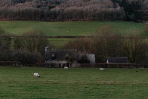 three sheep grazing in a field in front of a house at The Cotswold Farm Hideaway in Alderley