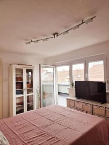a bedroom with a large bed and a flat screen tv at Apartment Amarone, 4th floor, no elevator in Zagreb