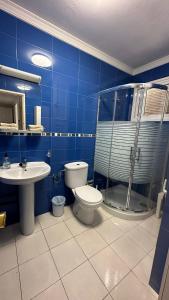 een badkamer met een toilet, een douche en een wastafel bij Casa Rica in Puerto Rico de Gran Canaria