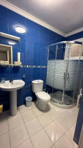 a bathroom with a toilet and a shower and a sink at Casa Rica in Puerto Rico de Gran Canaria