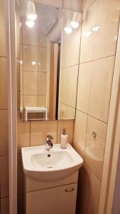 a bathroom with a sink and a mirror at Apartment Amarone, 4th floor, no elevator in Zagreb