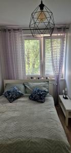 sypialnia z dużym łóżkiem z 2 poduszkami w obiekcie Cosy Apartment w pobliżu Tauron Arena w Krakowie