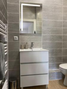 ルマンにあるLe New York Appart' T1 Bis au centre du MANSの洗面台と鏡のあるバスルーム