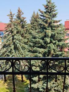 two christmas trees are seen behind a fence at Villa Sofia in Truskavets