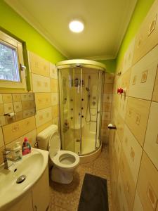 y baño con ducha, aseo y lavamanos. en Kenese Apartman en Balatonkenese