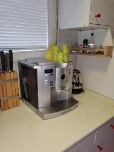 una cocina con cafetera en una encimera en Kenese Apartman en Balatonkenese