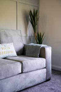 a couch sitting in a living room with a plant at Terrace Apartment in Airdrie