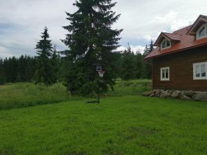 Gallery image of Cabana Katica 2 vendégház in Borzont