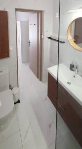 ein Badezimmer mit einem WC, einem Waschbecken und einem Spiegel in der Unterkunft Hidden gem on the Piraeus Coast in Piräus