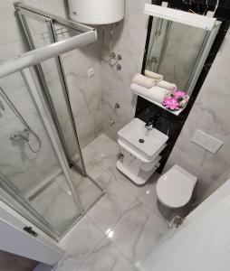 a bathroom with a toilet and a shower and a sink at Studio Emilija A30 A42 in Veliko Gradište