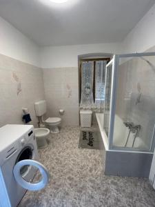 uma casa de banho com um chuveiro e uma máquina de lavar roupa em Cà du Miliu em Sesta Godano