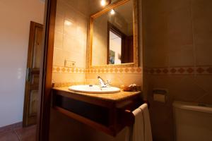 a bathroom with a sink and a mirror at Tirontillana in Dehesa de Cuellar