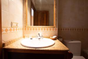 een badkamer met een wastafel, een spiegel en een toilet bij Tirontillana in Dehesa