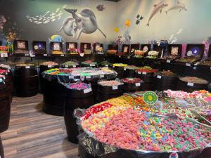 Φωτογραφία από το άλμπουμ του Appartement Vila Fajen σε Sukošan