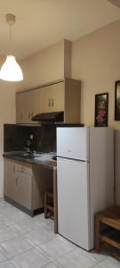a kitchen with a white refrigerator in a room at House Anna Sarti in Sarti