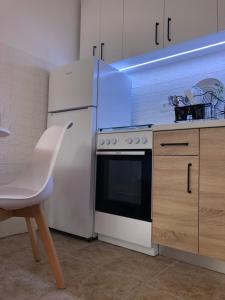 Kuchyň nebo kuchyňský kout v ubytování Apartman Cmiljanic + 10 fotografií