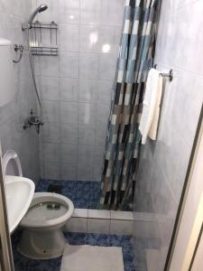 Koupelna v ubytování Apartman Cmiljanic