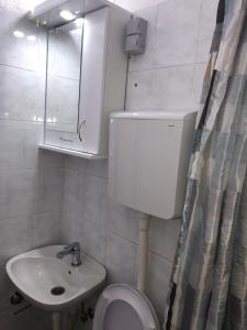 Koupelna v ubytování Apartman Cmiljanic