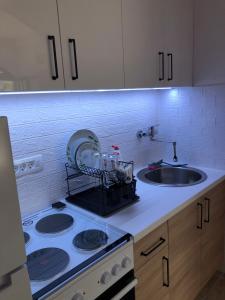 Kuchyň nebo kuchyňský kout v ubytování Apartman Cmiljanic