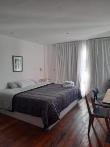 um quarto com uma cama grande e uma janela em bill and bill hostel em Buenos Aires