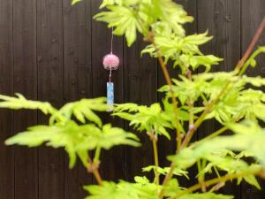 京都桃夭庵 touyouan momo house kujo 一棟貸切的挂在树上的粉红色小球