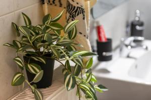 Imagine din galeria proprietății MK lux apartment în Kalamata +31 fotografii