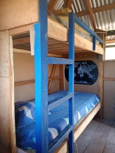 a bunk bed in a cabin with blue bunk beds at Sustainable, Off-Grid and Organic Cabins on a Farm in a Secluded Cloud Forest, Ultra Low Carbon Footprint in Puntarenas