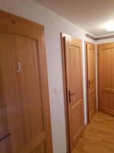 a hallway with two wooden doors in a room at Valvasorjev dom pod Stolom in Žirovnica