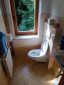a bathroom with a toilet and a window at Valvasorjev dom pod Stolom in Žirovnica