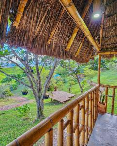 a porch of a straw hut with a tree at Cabañas San Jose in Doradal