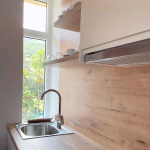 eine Küchentheke mit einem Waschbecken und einem Fenster in der Unterkunft Deluxe Kvarner 2 in Lovran