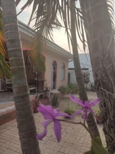 博尼圖的住宿－Melhor ponto de Bonito，两棵棕榈树,在房子前面有紫色的花