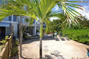 una palmera frente a una casa en Unique : Pieds dans l'eau face au lagon, en Sainte-Anne