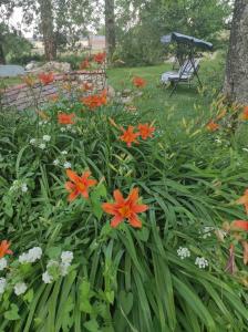 un jardín con flores naranjas y una mesa de picnic en Gite de peupliers, en Valdieu