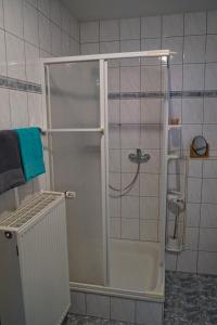 a shower with a glass door in a bathroom at Im Beilsteiner Mühlental in Beilstein +13 photos