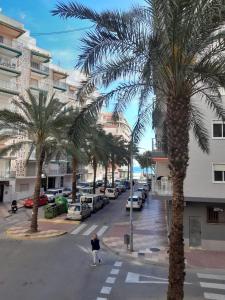 a person walking down a street with palm trees at Neptuno Playa San Antonio in Cullera