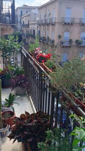 een balkon met planten en potplanten op een gebouw bij Casa Migliore in Palermo