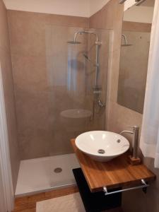 博爾索德爾格拉帕的住宿－Appartamento Regina，一间带水槽和淋浴的浴室