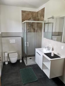 a bathroom with a shower and a toilet and a sink at Ferienwohnung Florine 