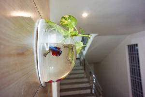 Fotografie z fotogalerie ubytování Elite Resort v destinaci Yelagiri