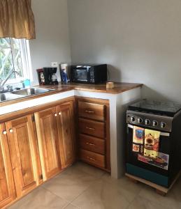 a kitchen with a stove and a sink and a microwave at Seacret Studios - Cozy Jamaican Retreat apts in Negril