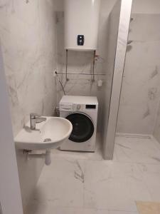 a bathroom with a sink and a washing machine at Bezbariérový apartmán Lodenica - v tesnej blízkosti Adelli centra in Piešťany