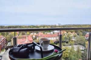 Fotografie z fotogalerie ubytování Horizon.12 Platan Tower ve Svinoústí