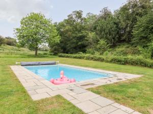 una piscina con un juguete inflable en un patio en The Granary, en Colchester